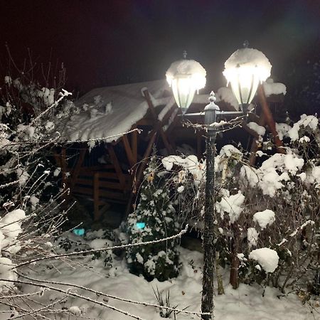 Міні Готель Вілла Вікторія Beregszász Kültér fotó