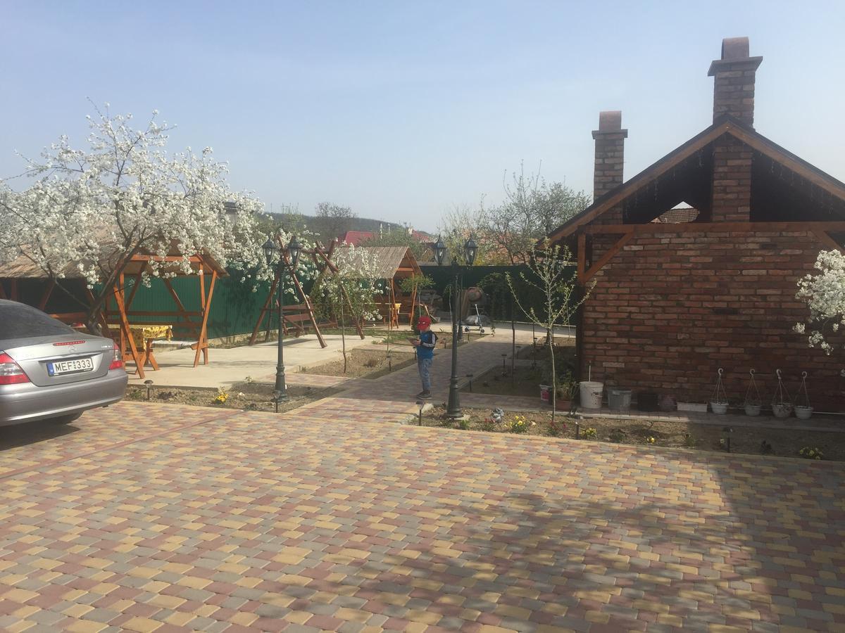 Міні Готель Вілла Вікторія Beregszász Kültér fotó