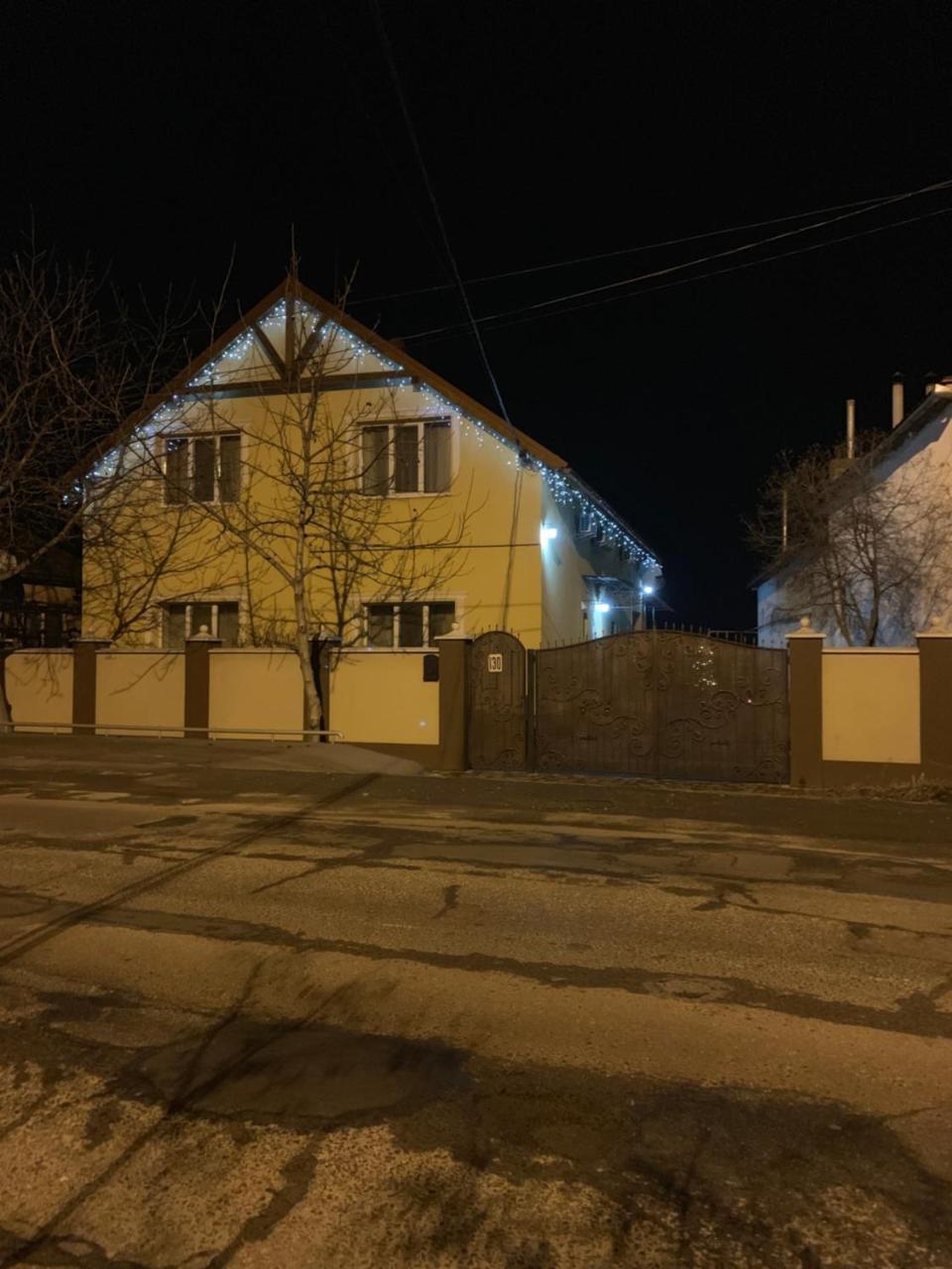 Міні Готель Вілла Вікторія Beregszász Kültér fotó