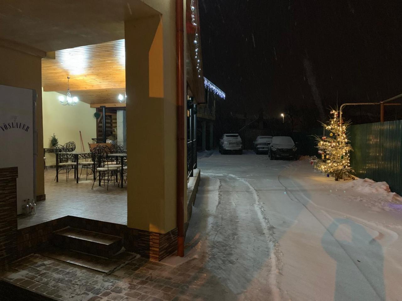 Міні Готель Вілла Вікторія Beregszász Kültér fotó